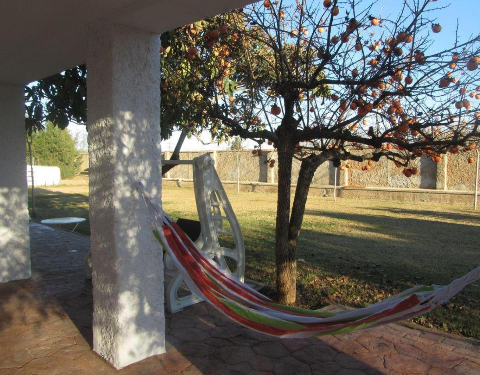 Santa Ana Villa Pedrola Екстериор снимка